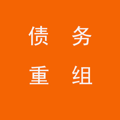吊罗山乡个人债务重组优化